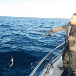 ジギング船 BLUEWATER 釣果