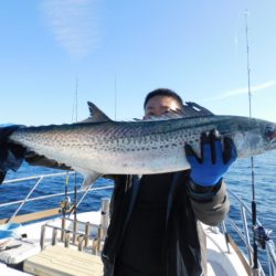 ジギング船 BLUEWATER 釣果