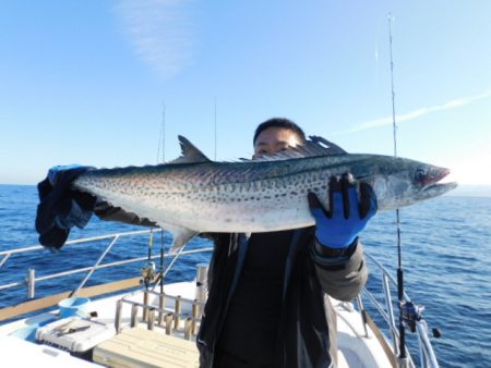 ジギング船 BLUEWATER 釣果