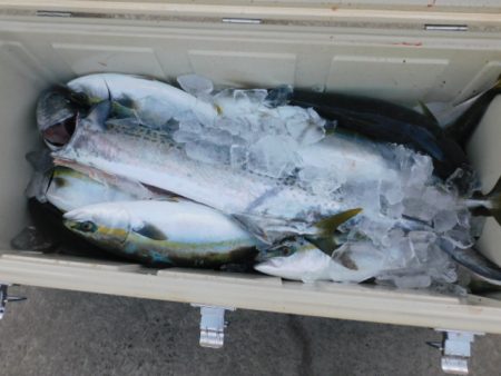 ジギング船 BLUEWATER 釣果