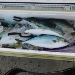 ジギング船 BLUEWATER 釣果