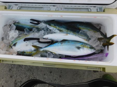 ジギング船 BLUEWATER 釣果