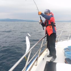 ジギング船 BLUEWATER 釣果