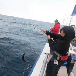 ジギング船 BLUEWATER 釣果