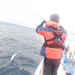 ジギング船 BLUEWATER 釣果