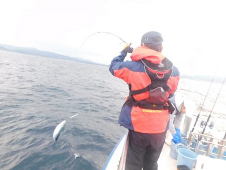 ジギング船 BLUEWATER 釣果