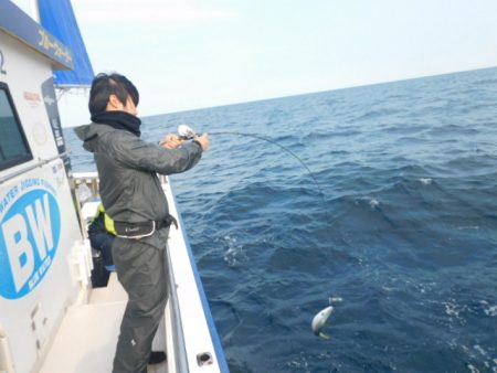 ジギング船 BLUEWATER 釣果