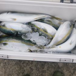 ジギング船 BLUEWATER 釣果