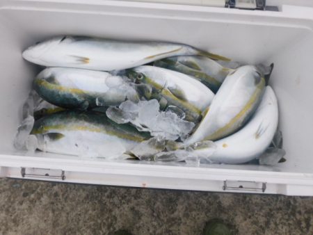 ジギング船 BLUEWATER 釣果