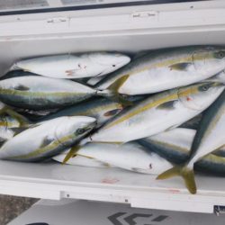 ジギング船 BLUEWATER 釣果