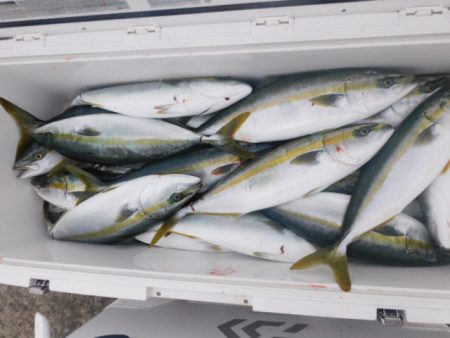 ジギング船 BLUEWATER 釣果