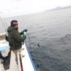 ジギング船 BLUEWATER 釣果