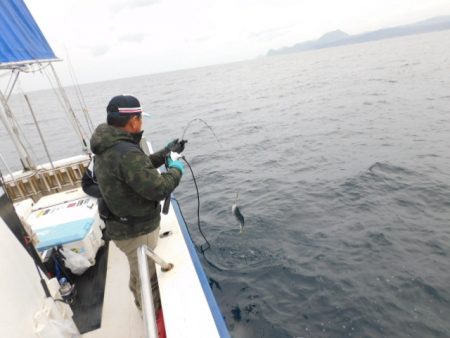 ジギング船 BLUEWATER 釣果