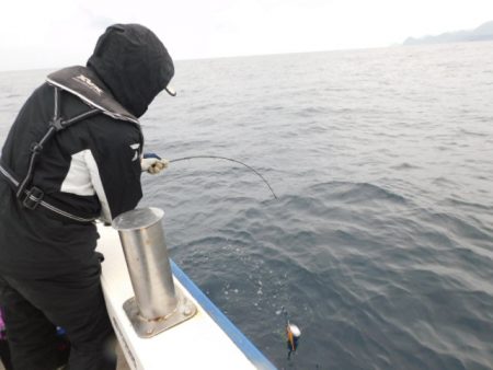 ジギング船 BLUEWATER 釣果