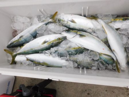 ジギング船 BLUEWATER 釣果