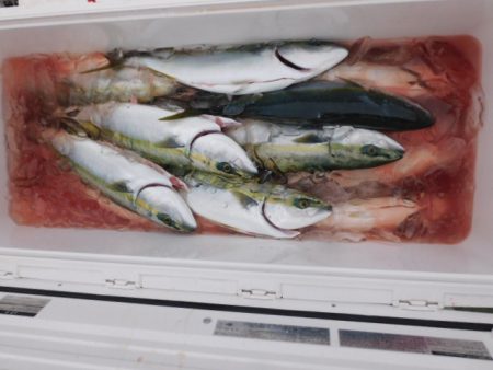 ジギング船 BLUEWATER 釣果