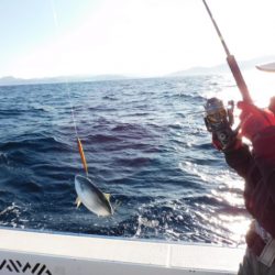 ジギング船 BLUEWATER 釣果