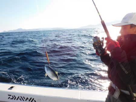 ジギング船 BLUEWATER 釣果