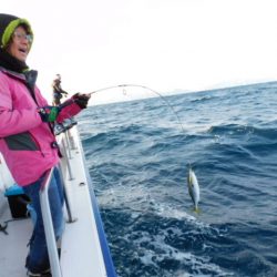 ジギング船 BLUEWATER 釣果