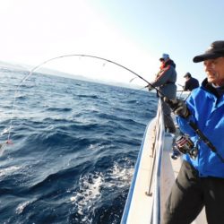 ジギング船 BLUEWATER 釣果