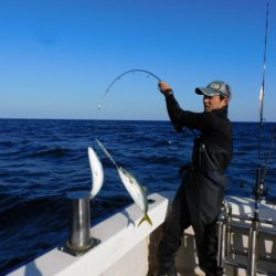 ジギング船 BLUEWATER 釣果