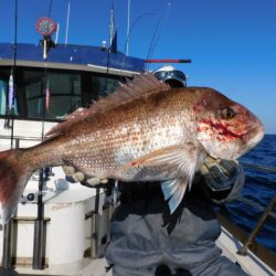 ジギング船 BLUEWATER 釣果
