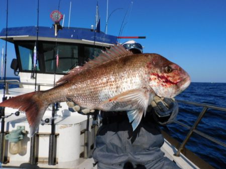 ジギング船 BLUEWATER 釣果
