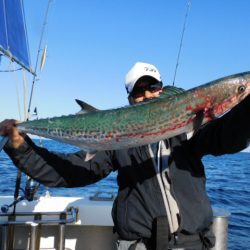 ジギング船 BLUEWATER 釣果