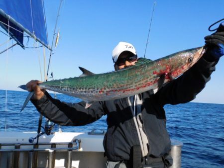 ジギング船 BLUEWATER 釣果