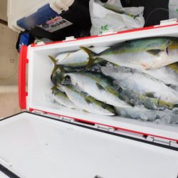 ジギング船 BLUEWATER 釣果