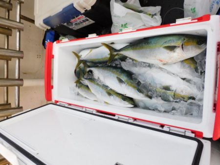 ジギング船 BLUEWATER 釣果