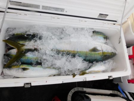 ジギング船 BLUEWATER 釣果