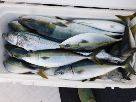 ジギング船 BLUEWATER 釣果