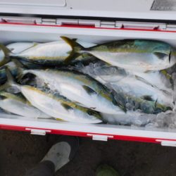 ジギング船 BLUEWATER 釣果