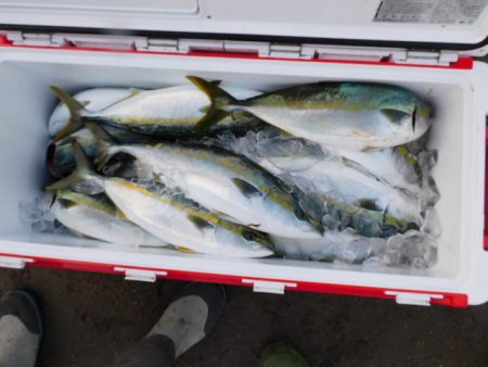 ジギング船 BLUEWATER 釣果