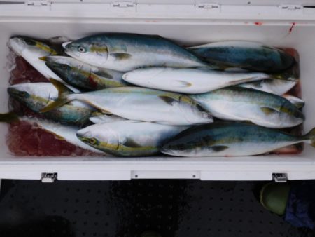 ジギング船 BLUEWATER 釣果