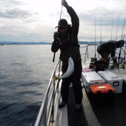 ジギング船 BLUEWATER 釣果