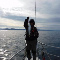 ジギング船 BLUEWATER 釣果