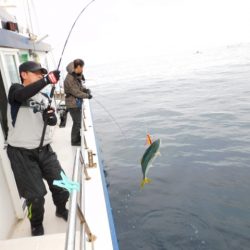 ジギング船 BLUEWATER 釣果