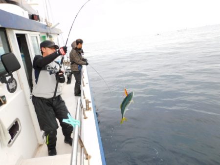 ジギング船 BLUEWATER 釣果