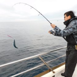 ジギング船 BLUEWATER 釣果