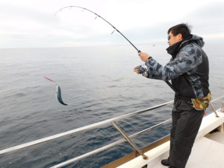 ジギング船 BLUEWATER 釣果