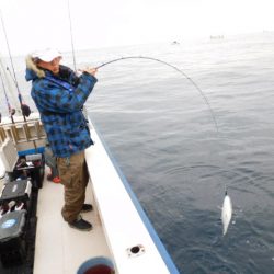 ジギング船 BLUEWATER 釣果