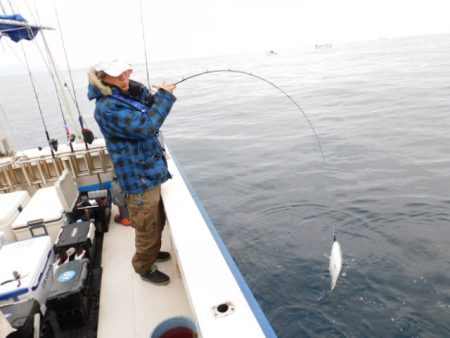 ジギング船 BLUEWATER 釣果