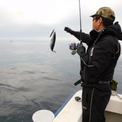 ジギング船 BLUEWATER 釣果