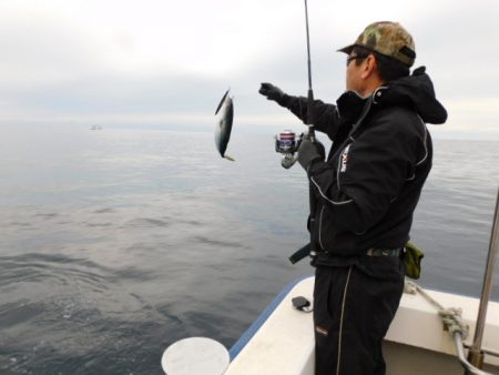 ジギング船 BLUEWATER 釣果