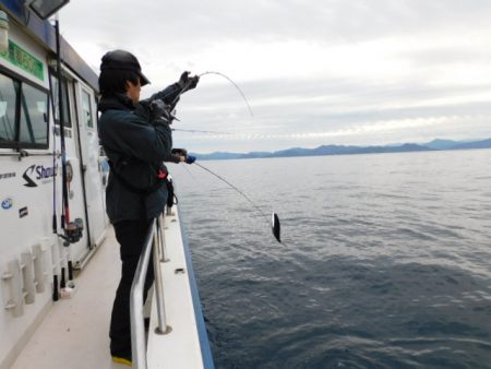 ジギング船 BLUEWATER 釣果