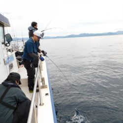 ジギング船 BLUEWATER 釣果