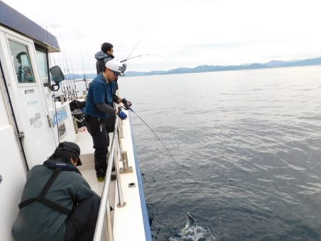 ジギング船 BLUEWATER 釣果