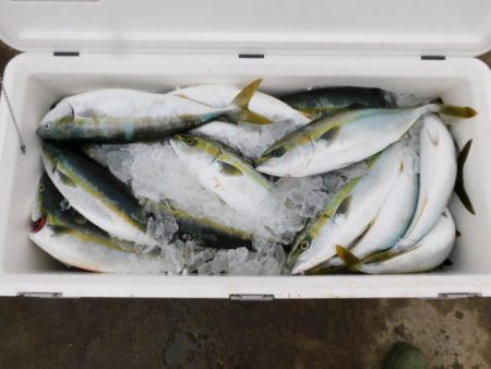 ジギング船 BLUEWATER 釣果